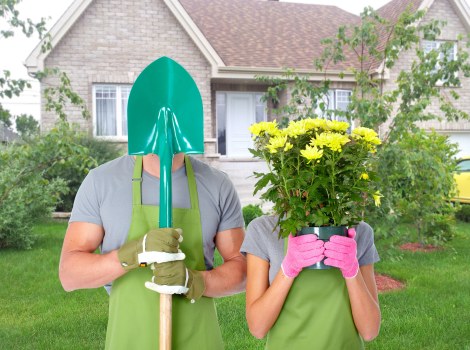 Close-up of gardening tools and plant beds after work