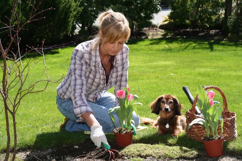 Operator wearing PPE while applying a garden treatment